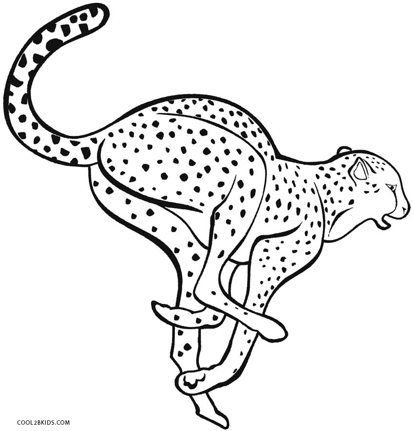 850x885 Printable Cheetah Coloring Pages For Kids Cool2bkids