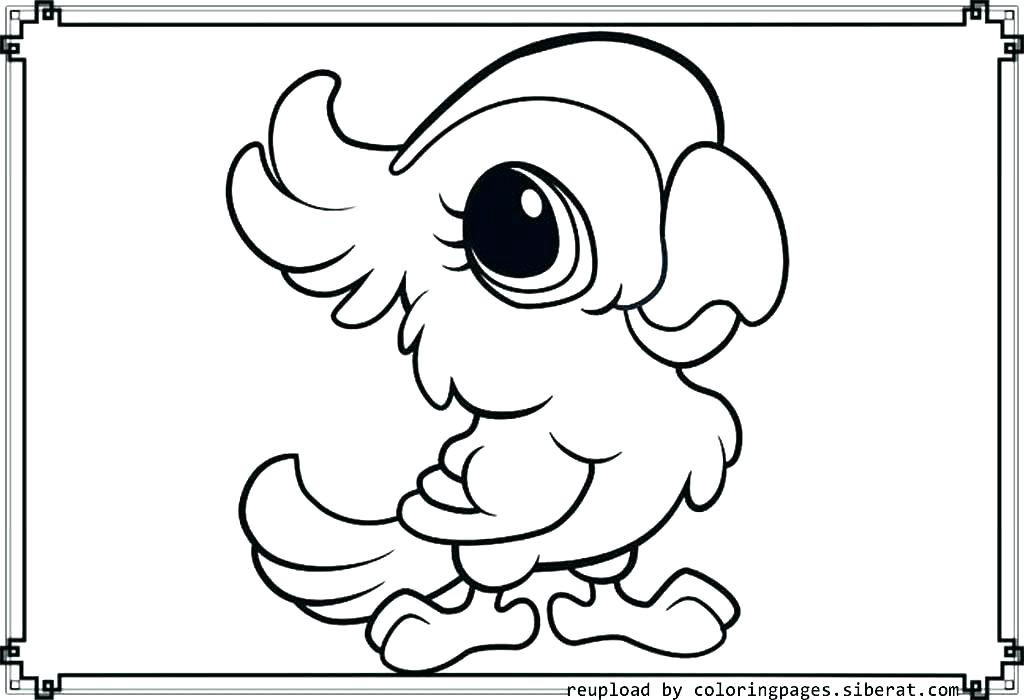 1024x700 Coloring Pages Of Baby Animals Paw Print Coloring Pages Coloring