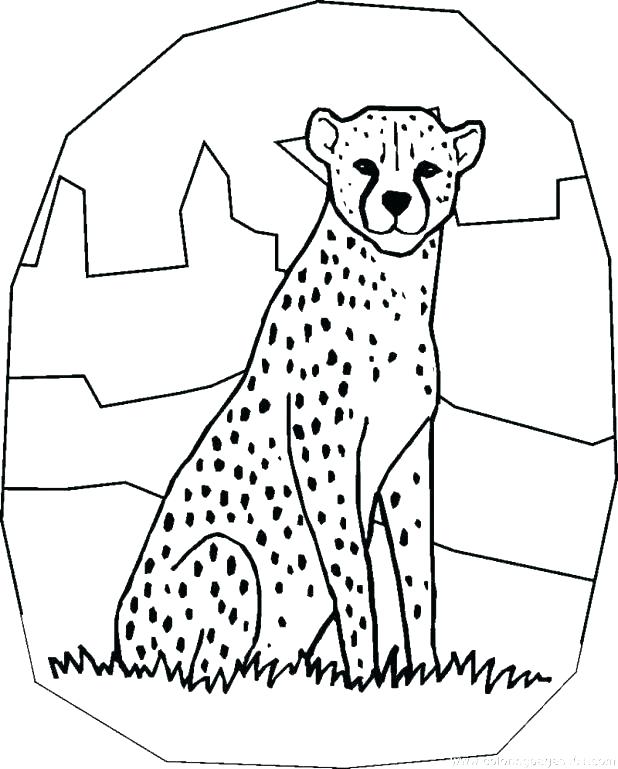 618x769 Coloring Pages Of Cheetahs Coloring Pages Cheetah Coloring Pages