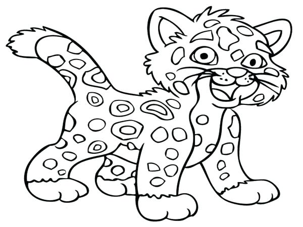 600x450 Cheetah Coloring Pages Little Baby Cheetah Coloring Page Cheetah