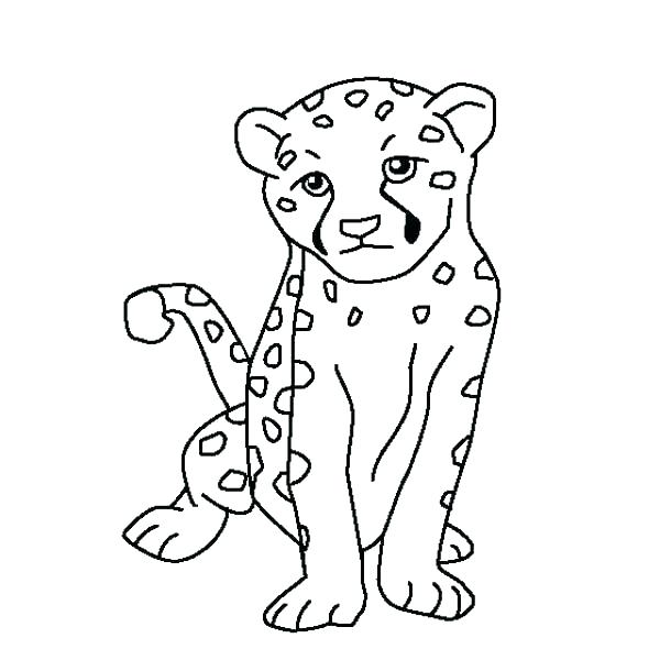 600x600 Cheetah Coloring Pages Cheetah Coloring Page Running Cheetah