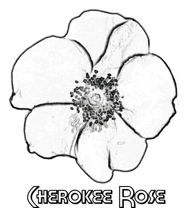 Cherokee Coloring Pages