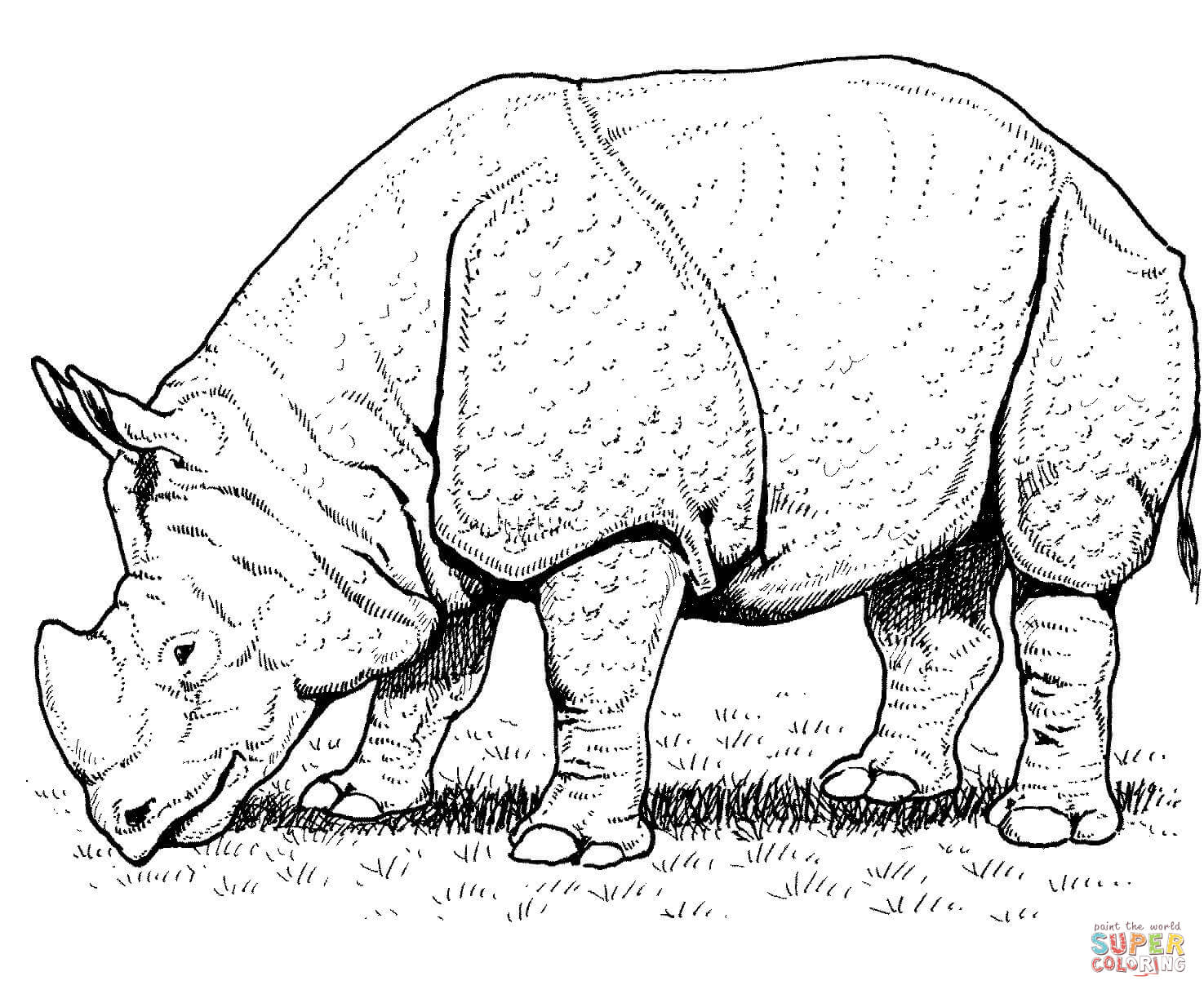 1475x1218 Indian Rhino Coloring Page Free Printable Coloring Pages Rhino