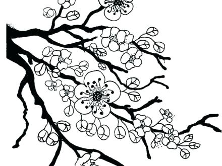 440x330 Geisha Coloring Pages Cherry Blossom Flower Coloring Page Fun 8