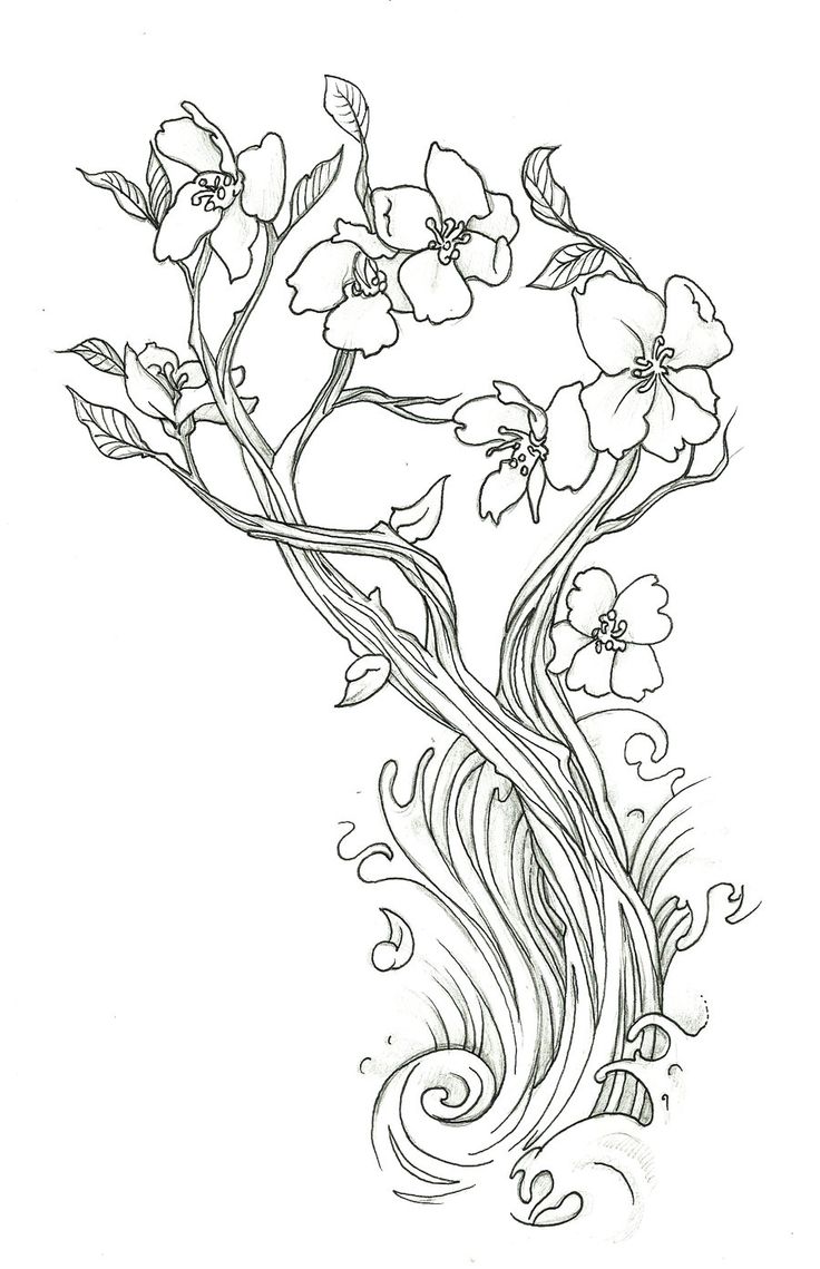 736x1139 Cherry Blossom Coloring Pages 7