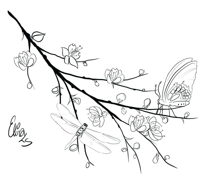 Cherry Blossom Tree Coloring Page Birds Coloring Pages Cherry 730x619 Cherry Blossom Tree Coloring Page Birds Coloring Pages Cherry