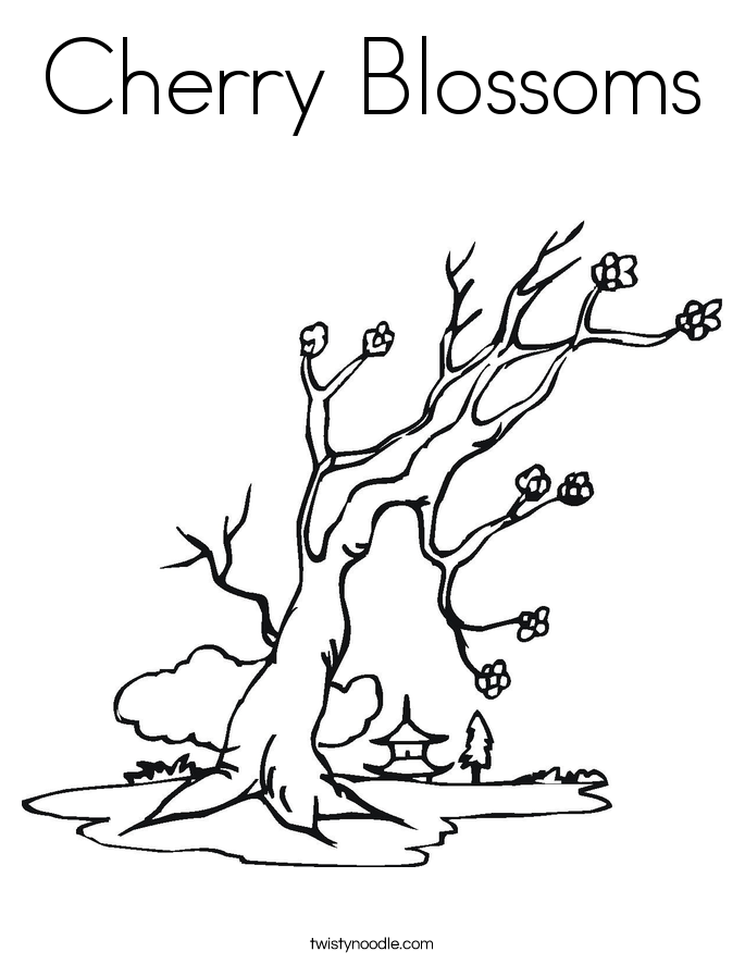 Cherry Blossoms Coloring Page 685x886 Cherry Blossoms Coloring Page
