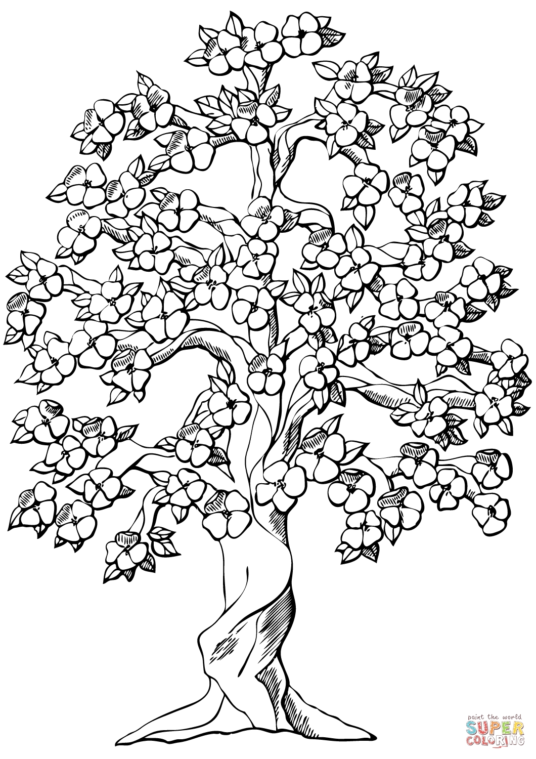 Weeping Cherry Blossom Tree Coloring Pages For Kids Collection 1060x1500 Weeping Cherry Blossom Tree Coloring Pages For Kids Collection