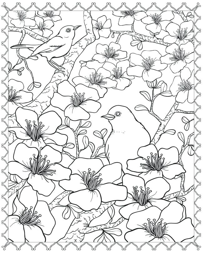 650x808 Flower Page Printable Coloring Sheets Bird And Cherry Blossom