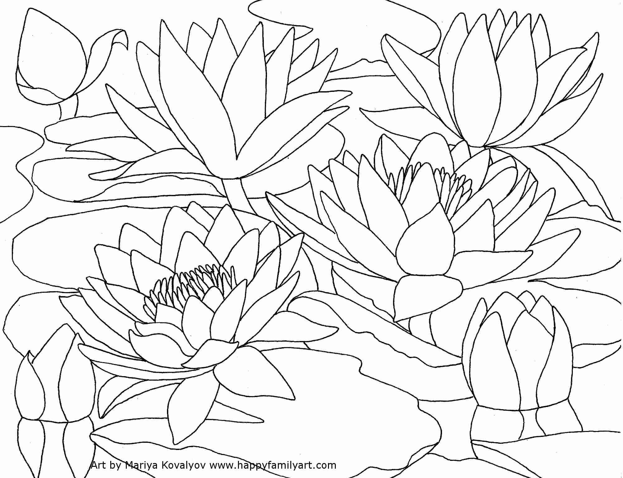 2000x1535 Cherry Blossom Coloring Pages 5