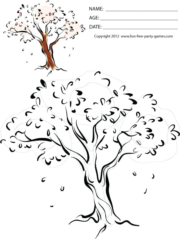 Cherry Blossom Tree Coloring Page Japan Cherry Blossom Coloring 736x975 Cherry Blossom Tree Coloring Page Japan Cherry Blossom Coloring