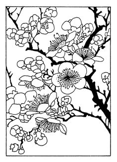 Cherry Tree Blossom Coloring Page Quilts 236x325 Cherry Tree Blossom Coloring Page Quilts