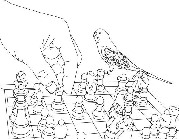 Parakeet, Playing Chess With Parakeet Coloring Page Needle 600x464 Parakeet, Playing Chess With Parakeet Coloring Page Needle