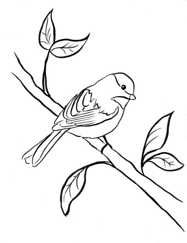 613x794 Chickadee Coloring Page