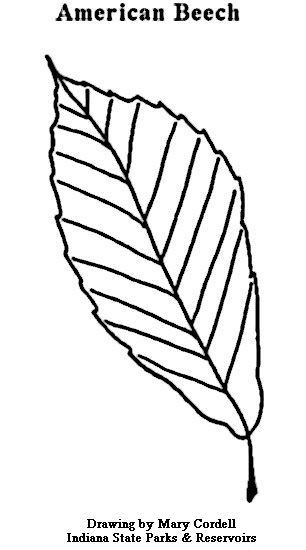 306x550 Dnr Coloring Pages