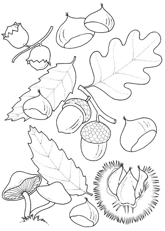 554x776 994 Best Coloring Pages Images On Coloring Pages