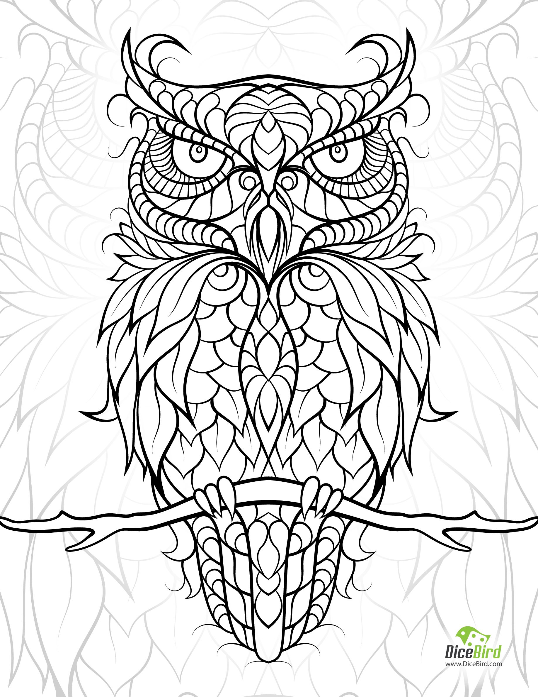 Fantastic Coloring Pages Of Chevron With Owls On It Looks Unique 1836x2376 Fantastic Coloring Pages Of Chevron With Owls On It Looks Unique