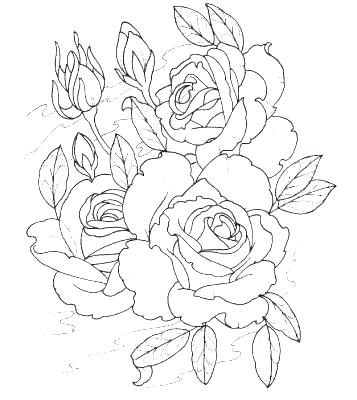 Chewbacca Coloring Pages Coloring Pages Coloring Pages Coloring 357x400 Chewbacca Coloring Pages Coloring Pages Coloring Pages Coloring