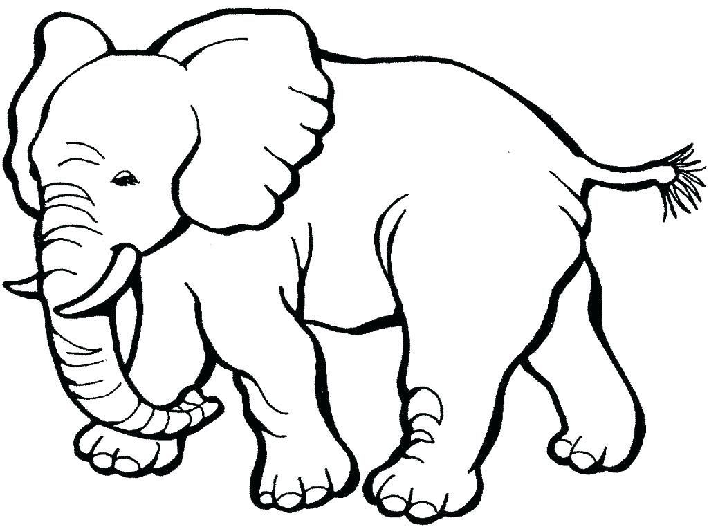 1025x762 Cute Animals Coloring Pages