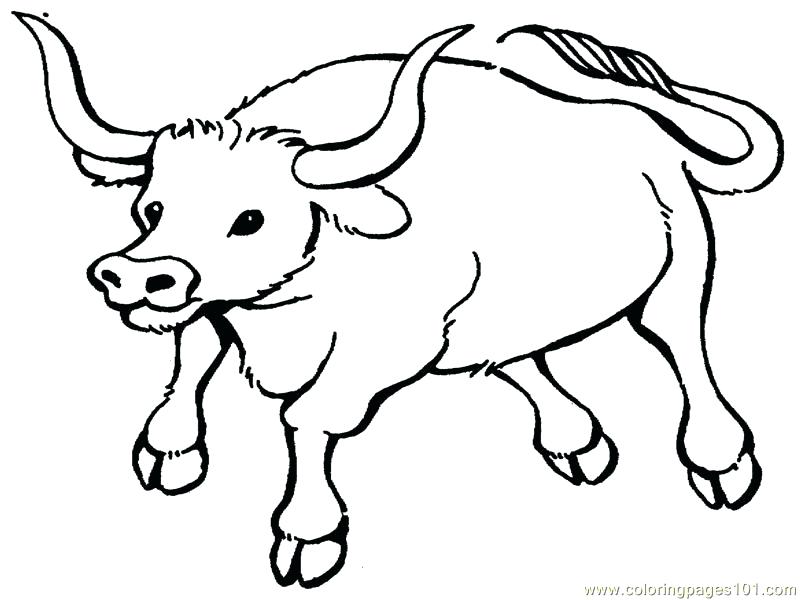 Chicago Bulls Printable Coloring Pages at GetColorings.com | Free ...