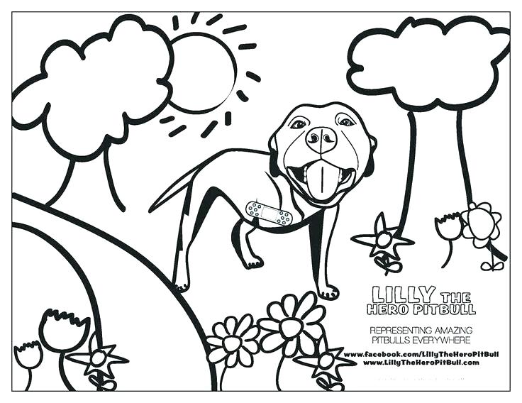 Bull Coloring Page Coloring Pages Bull Mammals Bull Free Printable 736x568 Bull Coloring Page Coloring Pages Bull Mammals Bull Free Printable
