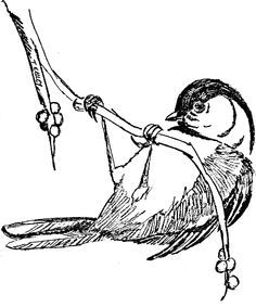 Chickadee Coloring Page