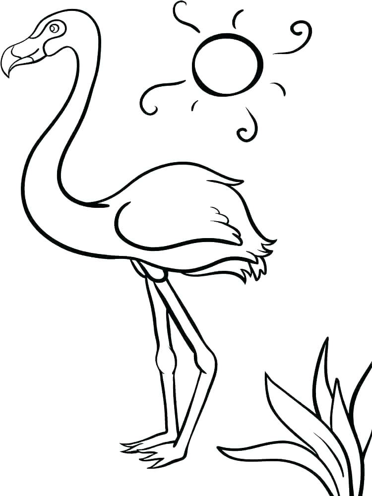 750x1000 Chickadee Coloring Page Black Capped Chickadee Coloring Page Black