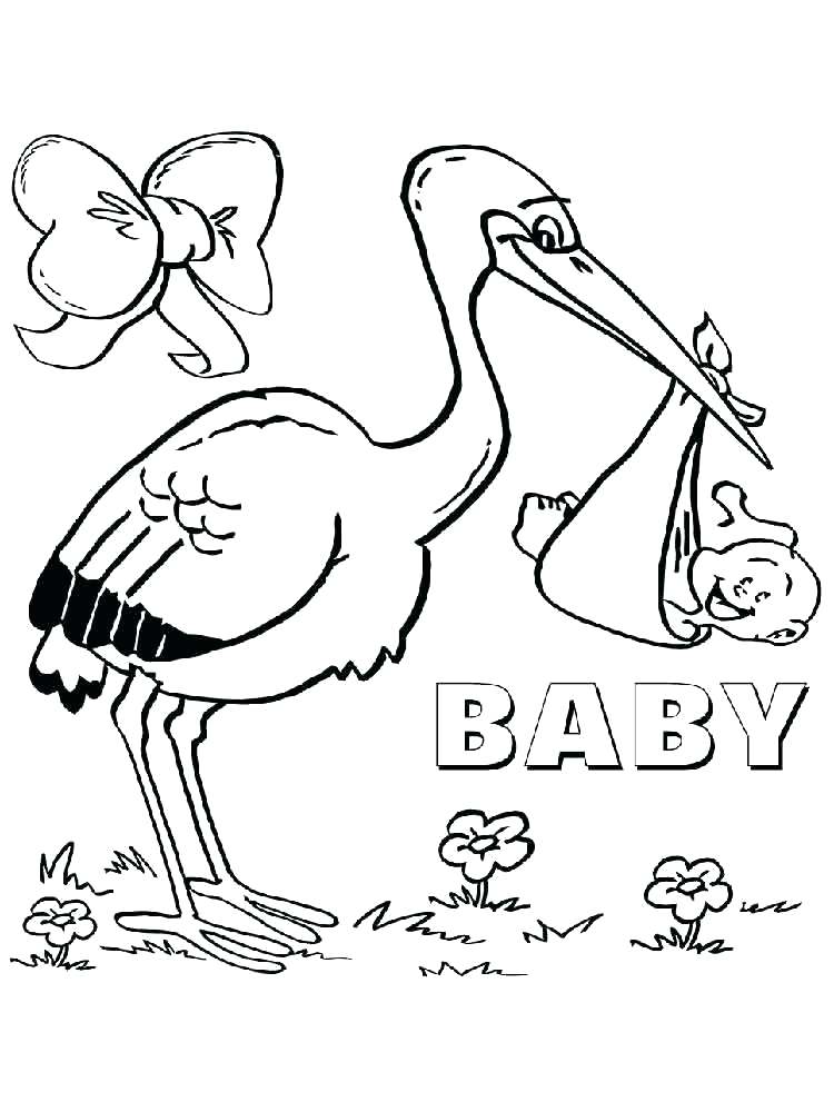 750x1000 Birds Coloring Pages Chickadee Coloring Page Stork Birds Coloring