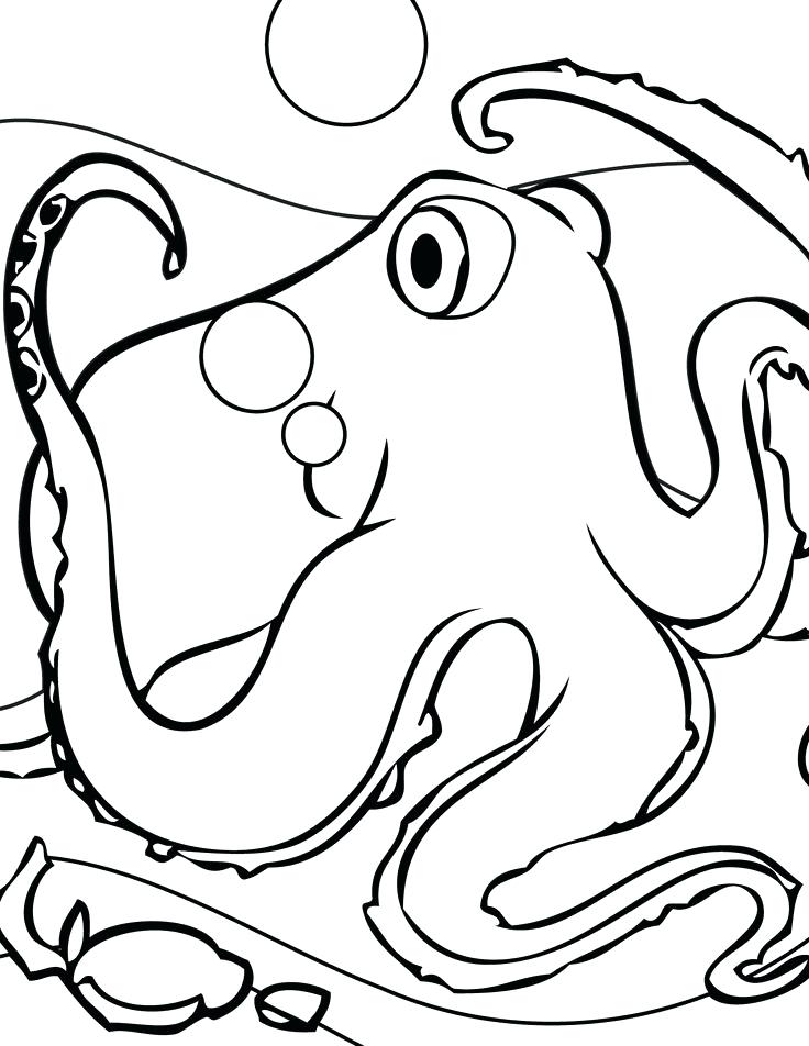 736x952 Chickadee Coloring Page Outline Pages Carolina