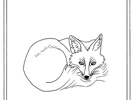 440x330 Black Capped Chickadee Coloring Page Free Coloring Pages Of Black