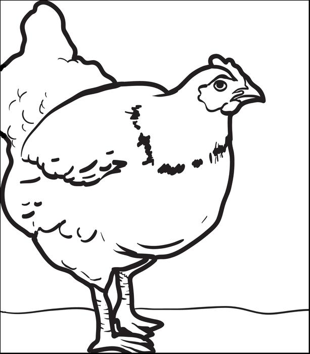 Chick Coloring Pages 613x700 Chick Coloring Pages