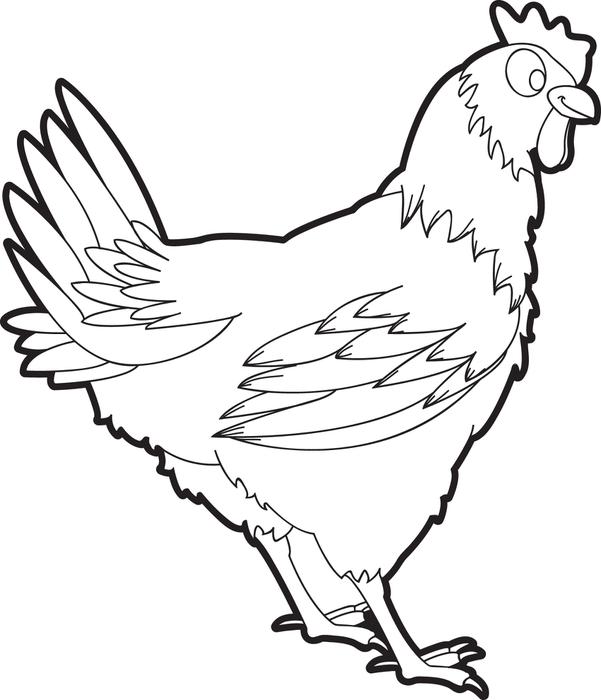 Realistic Chicken Coloring Pages. Chicken Hen Coloring Page 601x700 Realistic Chicken Coloring Pages. Chicken Hen Coloring Page