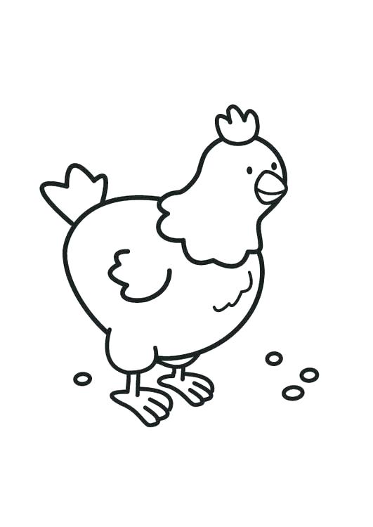 Roost Chicken Coloring Pages Free Chicken Coloring Pictures 531x750 Roost Chicken Coloring Pages Free Chicken Coloring Pictures