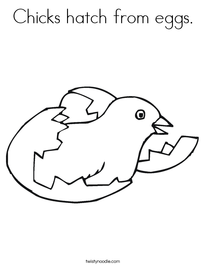 Chicks Hatch From Eggs Coloring Page 685x886 Chicks Hatch From Eggs Coloring Page
