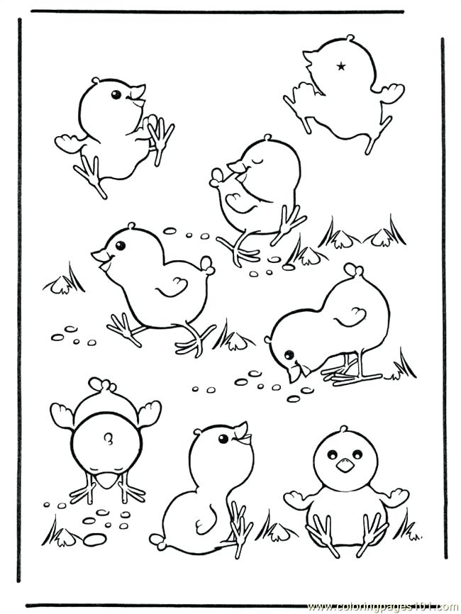 Coloring Pages Easter Pages Chicken Colori Page Coloring Pages 650x866 Coloring Pages Easter Pages Chicken Colori Page Coloring Pages