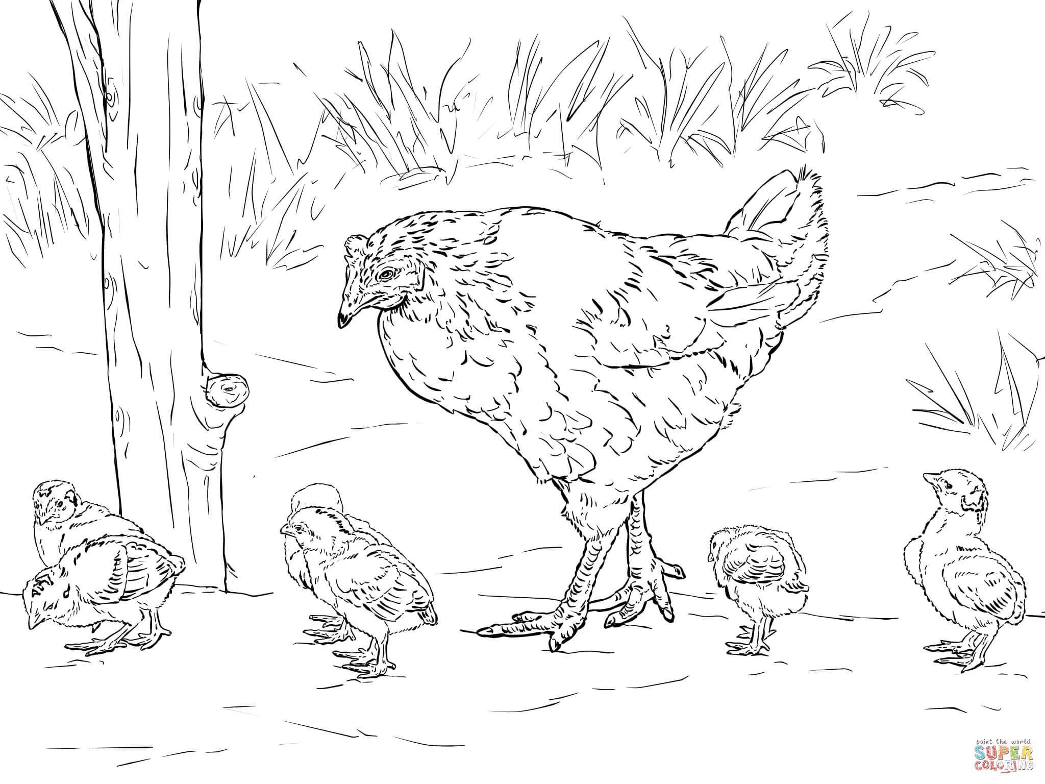 Hen Sits On Eggs Coloring Page Free Printable Coloring Pages 2048x1536 Hen Sits On Eggs Coloring Page Free Printable Coloring Pages