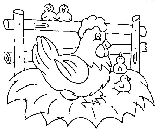 Little Chicken Wait For Their Mother Hatching Egg Coloring Pages 600x498 Little Chicken Wait For Their Mother Hatching Egg Coloring Pages