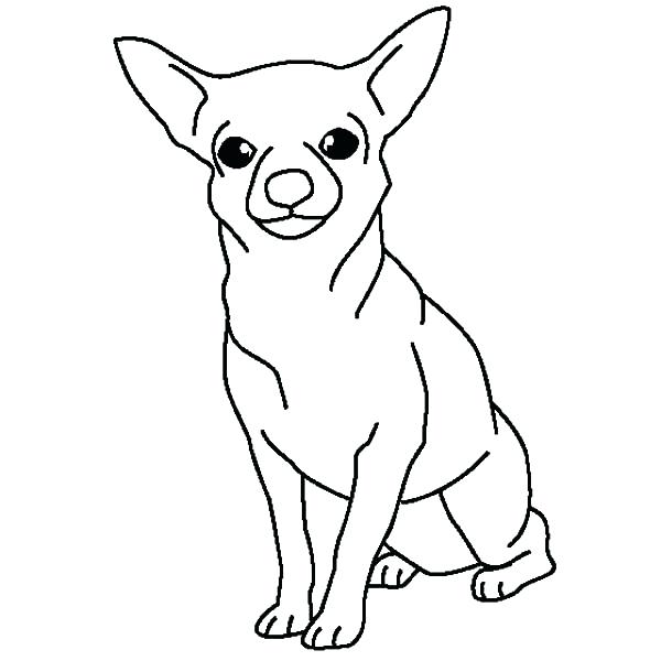 600x600 Chihuahua Coloring Pages Chihuahua Coloring Page Chihuahua Dog