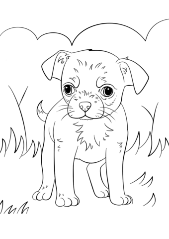 340x480 Chihuahua Coloring Pages Chihuahua Puppy Coloring Page Ebestbuyvn.co