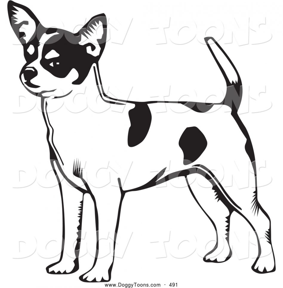 948x967 Best Of Chihuahua Puppy Coloring Pages Gallery Printable