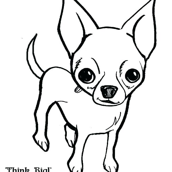 Chihuahua Coloring Pages at GetColorings.com | Free printable colorings ...