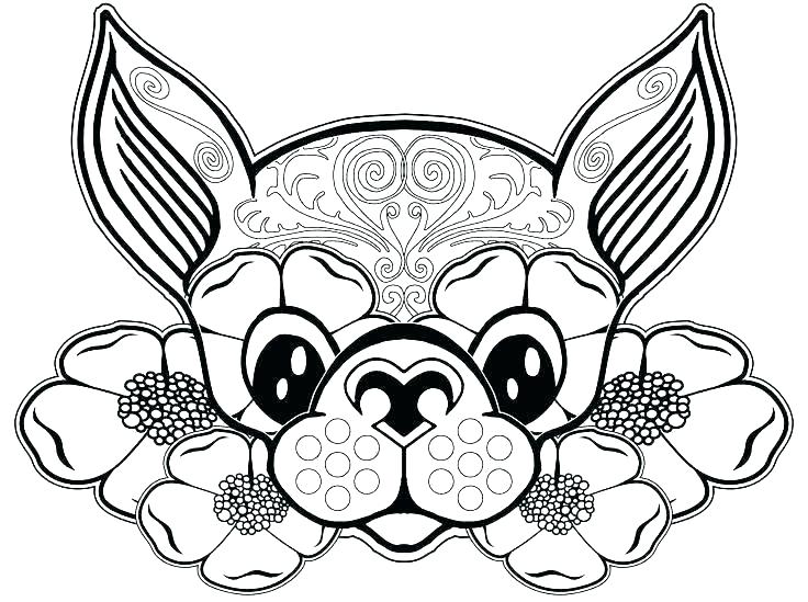 736x549 Chihuahua Coloring Page Chihuahua Coloring Page Beverly Hills
