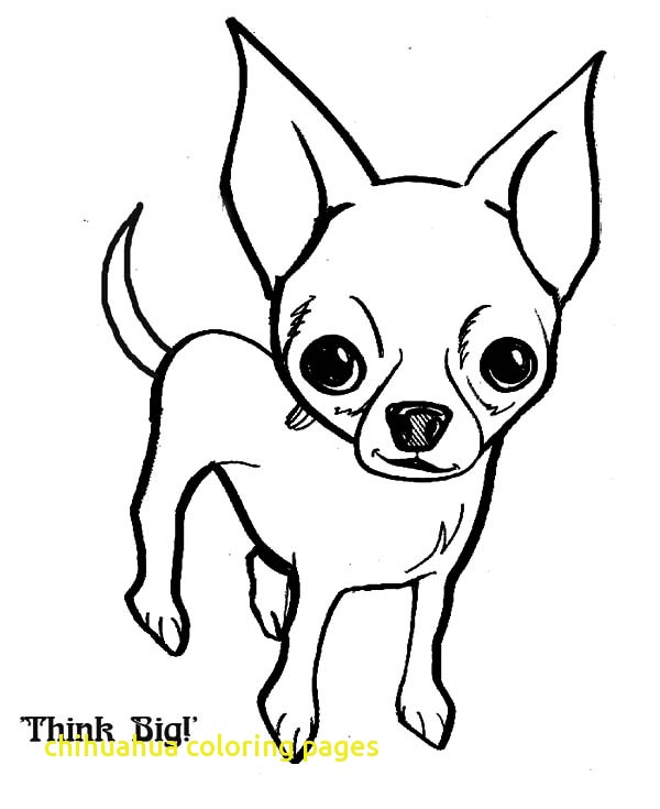 600x735 Chihuahua Coloring Pages With Chihuahua Dog Think Big Coloring
