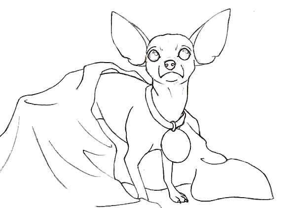 600x422 Chihuahua Dog Coloring Pages For Kids