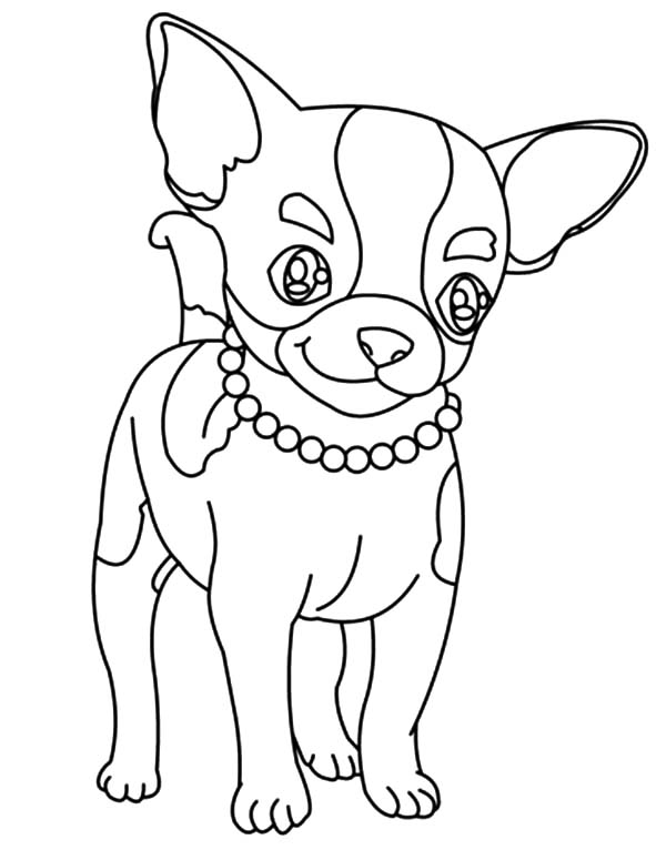 600x775 Beautiful Necklace Chihuahua Dog Coloring Pages