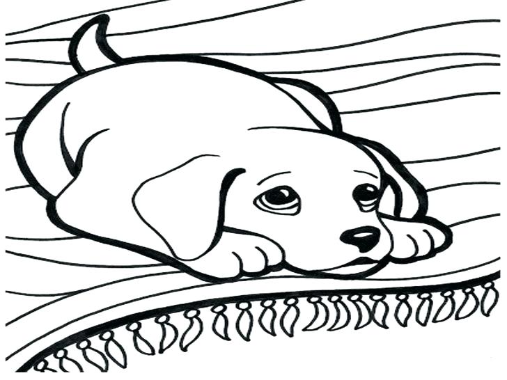 Chihuahua Dog Coloring Pages at GetColorings.com | Free printable ...