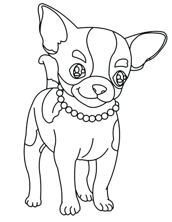 600x775 Chihuahua Coloring Pages Chihuahua Coloring Pages Chihuahua