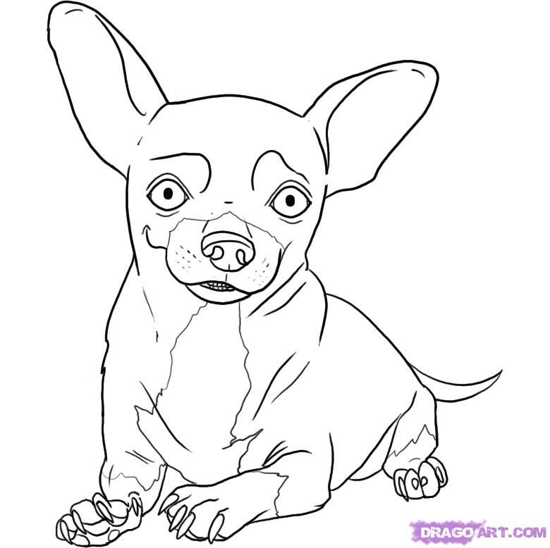 780x778 How To Draw A Chihuahua Step 6 Drawings Chiwawa