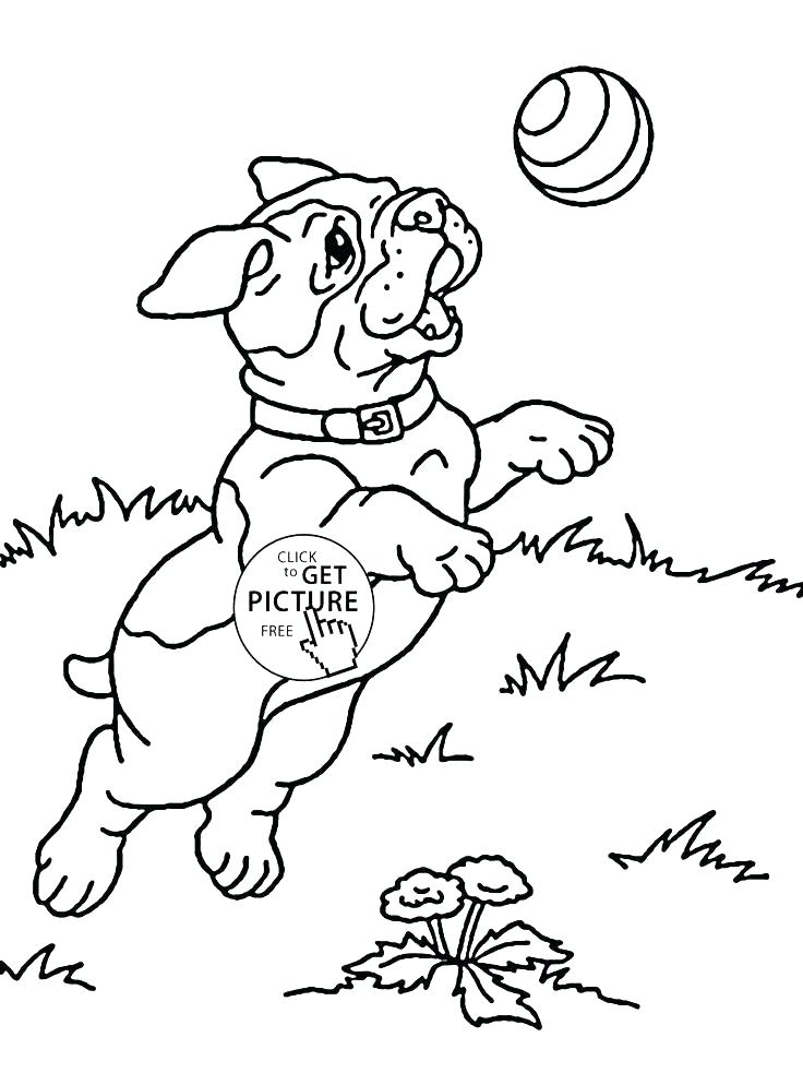 Childrens Coloring Pages Animals Vanda 736x994 Childrens Coloring Pages Animals Vanda