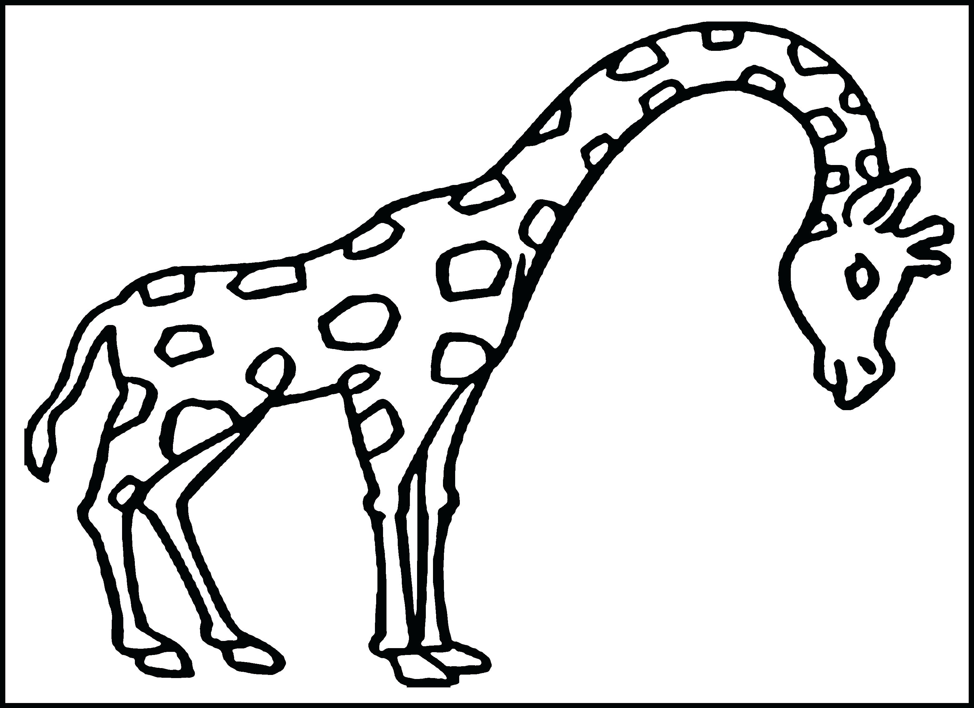 Coloring Pages For Boys Gumball Overlay Run Page Giraffe Running 3120x2270 Coloring Pages For Boys Gumball Overlay Run Page Giraffe Running